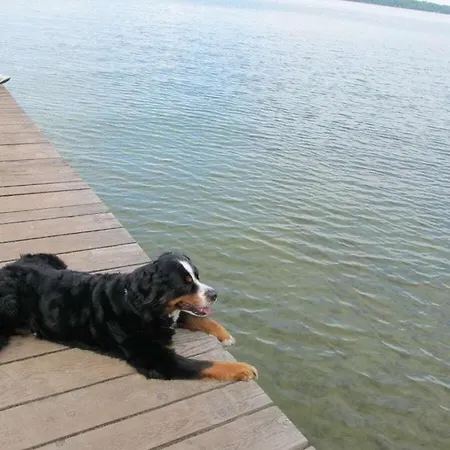 Nyaraló Lenzer Hoeh Vi